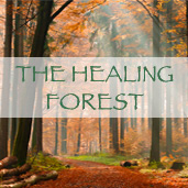 The Healing Forest