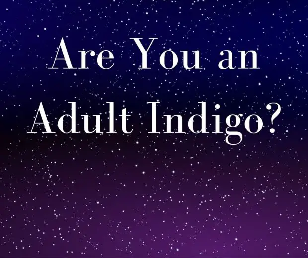 Are You an Adult Indigo?