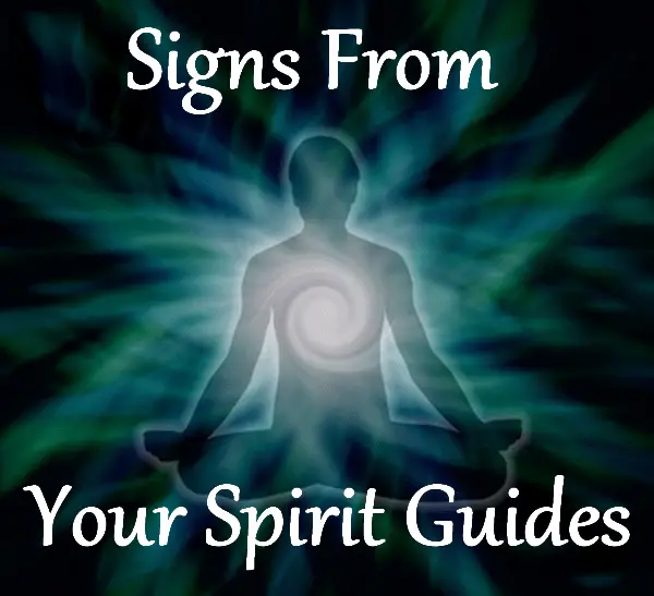 signs from your spirit guides