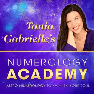 tania gabrielle numerology academy