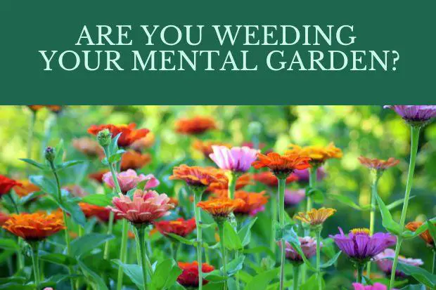 Are You Weeding Your Mental Garden