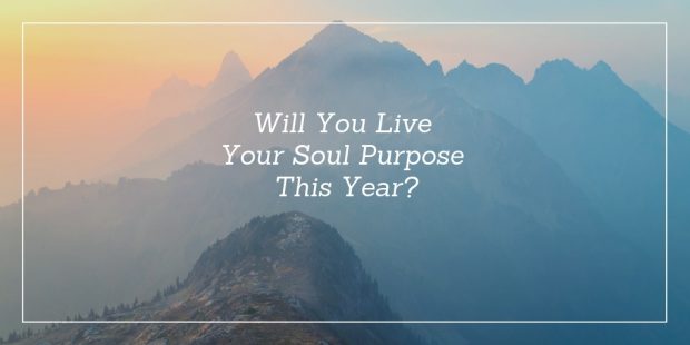 Live Your Soul Purpose