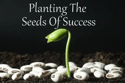 planting seeds of success